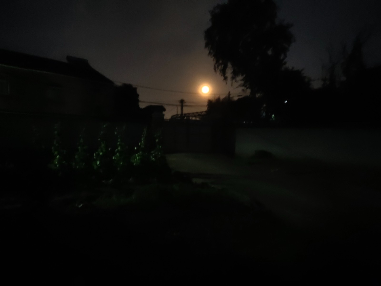 202605051777935487739546
